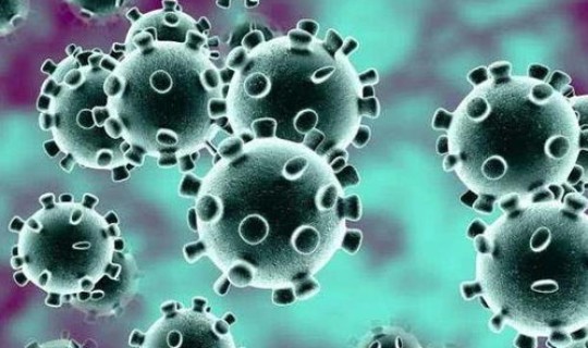 新型冠状病毒最新消息新增多少人 新型冠状病毒感染了多少人