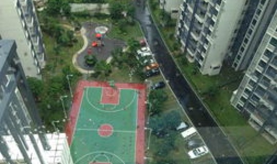 大朗镇地址(东莞大朗镇属于哪个区)