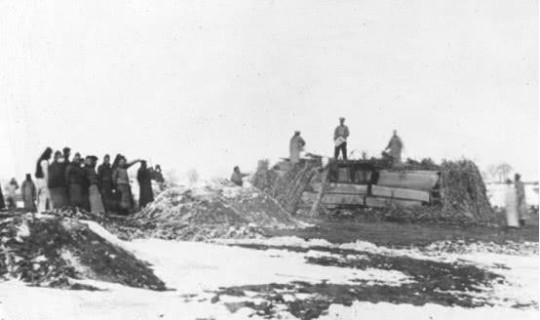 鼠疫最多一次死了多少人(最严重的鼠疫是哪一年)