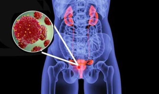 隐匿性传导最常见的部位 心脏传导最慢的部位