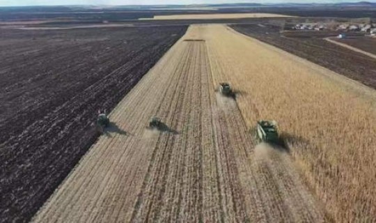 黑河出去要隔离吗(黑河隔离政策最新)