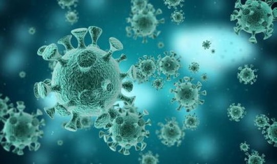 上海金山区新型冠状病毒，目前上海流行的病毒是什么病毒