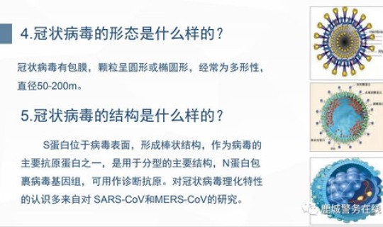 新型冠状病毒定为几级传染病了？传染病分几级防护