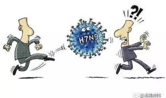 h7n9禽流感的临床症状有哪些？H7N9型禽流感的主要症状有哪些