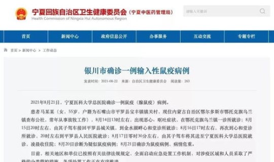 近年鼠疫报告总结？鼠疫的症状