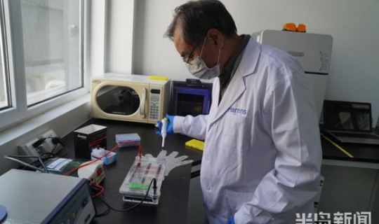 青岛新冠病毒肺炎最新消息，中国新冠肺炎最新消息