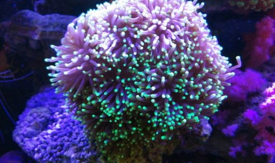 云南省疫情封城是哪里？云南哪个地方疫情严重