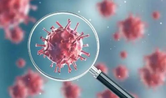 现在的新冠病毒哪里最严重，新型冠状病毒属于什么病毒