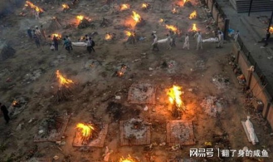 印度变异感染死亡人数(印度疫情死了多少人)