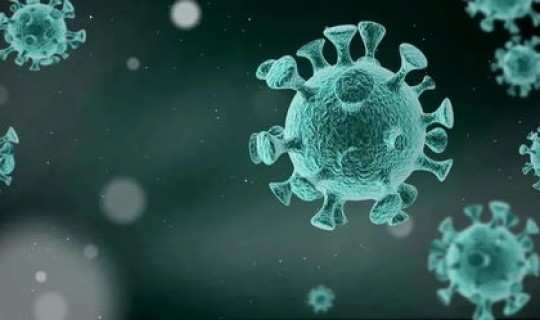 新冠病毒最严重的地方是哪里 新冠严重的几个地方 新冠病毒最严重的地方是哪里 新冠严重的几个地方