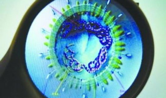 新型冠状病毒现在哪个地方最严重，新型冠状病毒死亡率