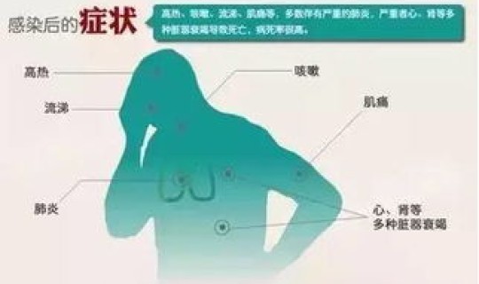 黑龙江流感最新信息 禽流感的起源和发展