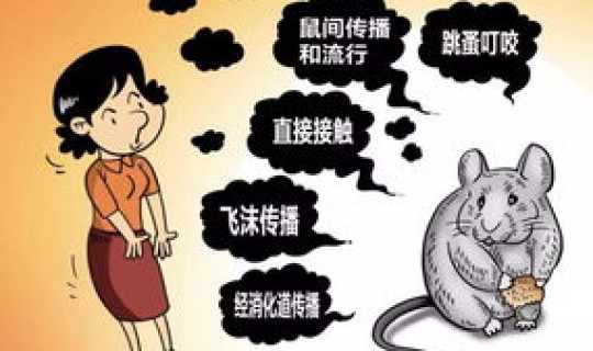 鼠疫害死多少人 鼠疫死亡率是多少