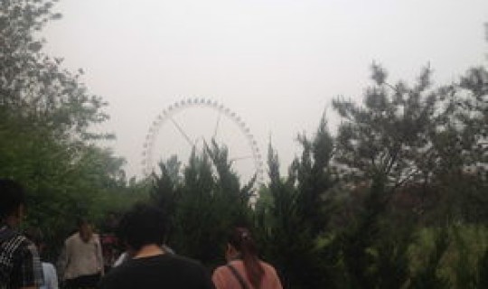 放一下石家庄	，去石家庄下道怎么走