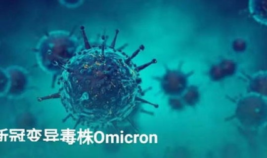 西安市德尔塔病毒 马尔堡病毒百科