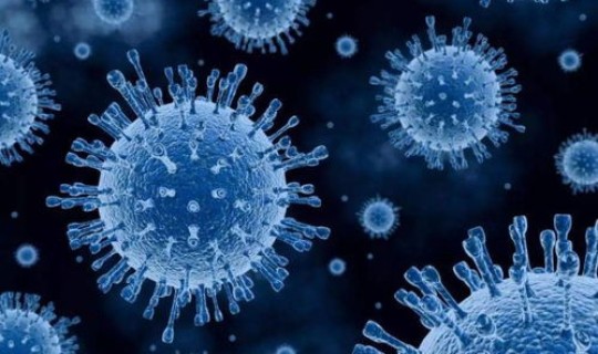 印度变异病毒严重吗 ，病毒是生物吗