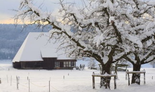 长春会不会封城(长春会不会下雪)