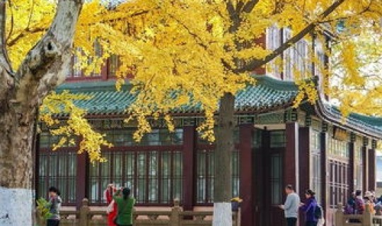 武汉不为人知的景点是哪里 武汉值得去的景点