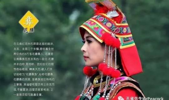 非必须不出境的民族，未列入少数民族的民族