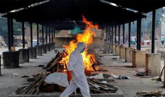 黑龙江疫情现在严重吗(疫情最新消息又严重了是真的吗)