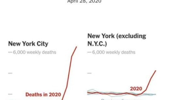 德国真实感染人数，德国人口总人数