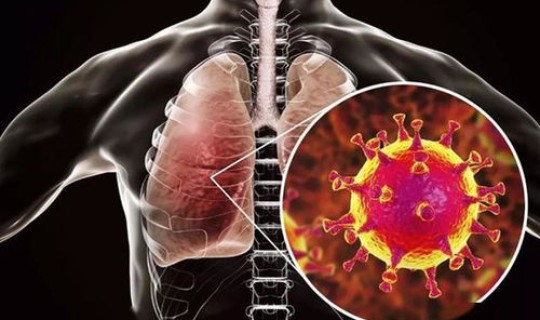 武汉新冠无症状感染者？新冠无症状感染者具有什么特点