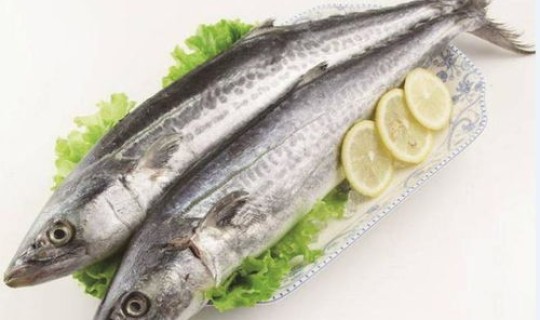 鲅鱼圈的来历简介？鲅鱼是哪里的鱼