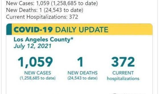 美国感染总数有多少人 美国华人数量