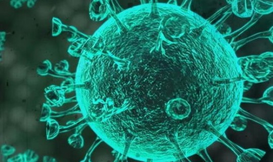 还有别的病毒吗？最近出现的病毒叫什么病毒