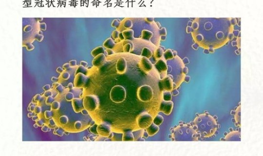 江苏病毒多少例？浙江省病毒感染一共有多少例