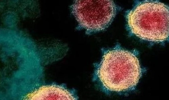 辽宁新冠病毒感染?新冠形病毒的症状 辽宁新冠病毒感染?新冠形病毒的症状