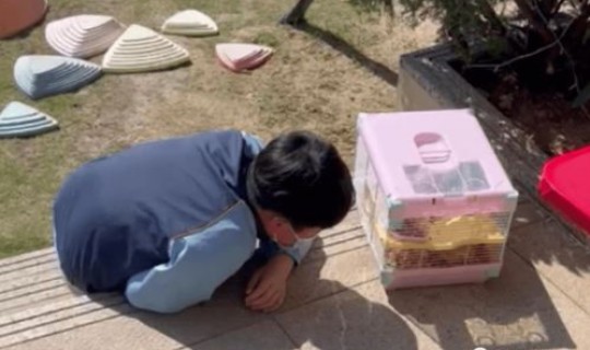 顺义疫情情况严峻？疫情爆发