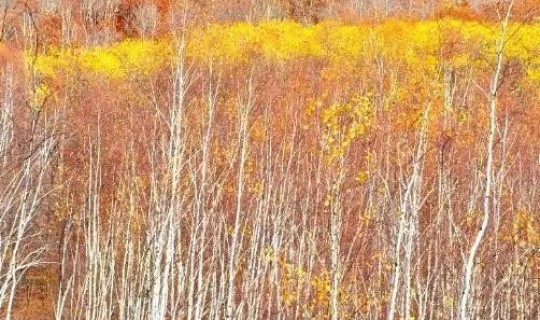 绥芬河基本情况	，绥芬河河流