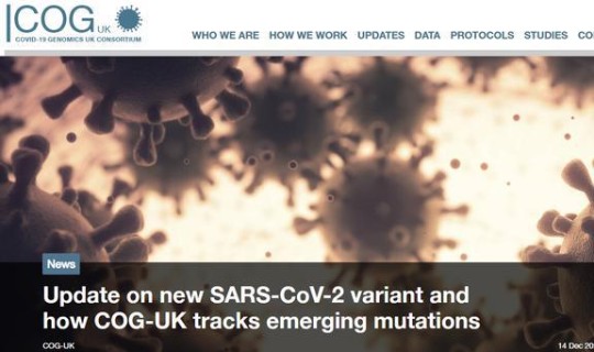 英国的变异毒株 需要留意的变异毒株