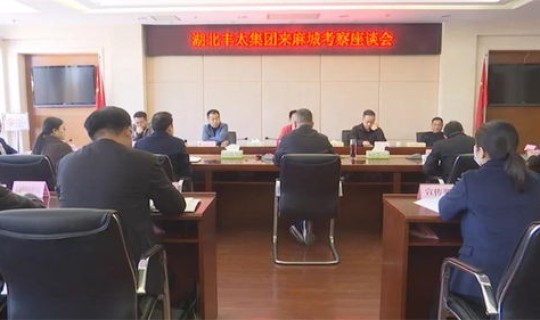 麻城最新 麻城新闻