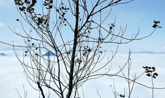 葛仙山门票网上预订 葛仙村要门票吗