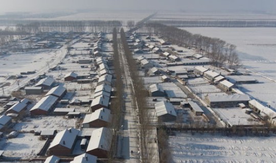 黑龙江绥化望奎有疫情吗，黑龙江省望奎县望奎镇