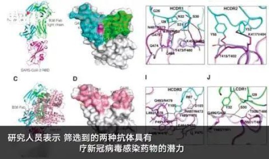 全国新增新冠 中国新冠最新消息今天新增