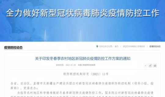 返乡 核酸 细则(返乡7日内核酸检测从哪天算)