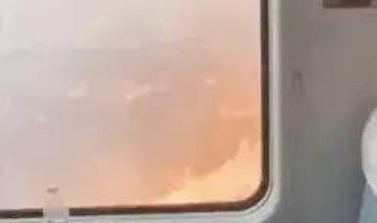 核酸检测阳性高铁 核酸检测阳性为什么还让上火车