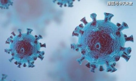 哈尔滨感染者是谁发现的？哈尔滨最近病毒感冒