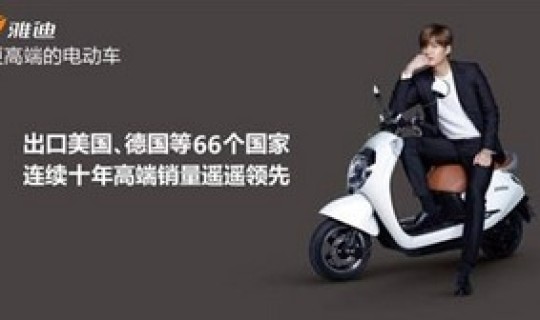 雅迪电动车2015年所有车型，雅迪2015年出了哪些款