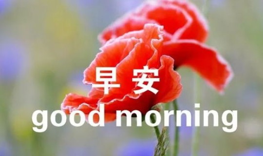 新冠最早是哪一年开始的 新一年开始的说说