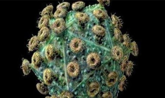 越南感染病毒(越南艾滋病人多吗)