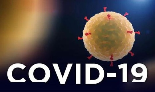 青岛新冠病毒疫情？新冠疫情什么时候开始的具体时间