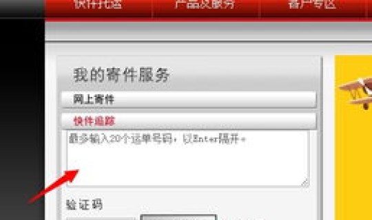 顺丰速运单号查询单号sf？顺丰快递的运单明细怎么查