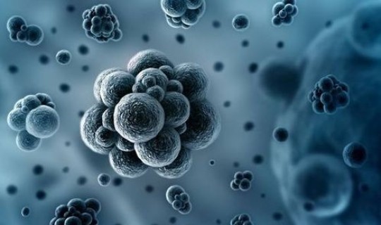 西安的病毒情况有哪些 病毒和细菌哪个好得快