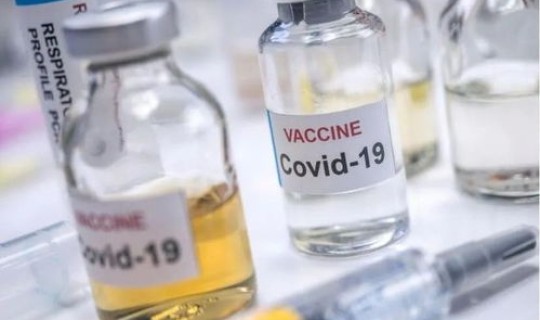 美国新冠疫苗好不好(犬冠状病毒疫苗)