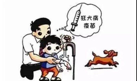 青岛疾控最新防疫提醒，青岛疾控中心打狂犬疫苗