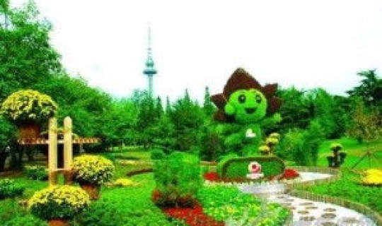 青岛绿化管理规定？山东省城市绿化管理办法